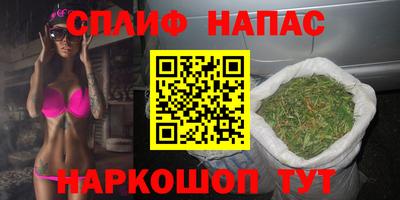 СК Балашиха