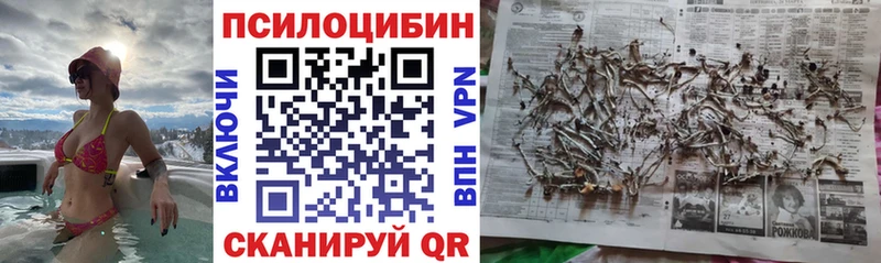 Псилоцибиновые грибы Cubensis  сайты даркнета состав  Архангельск 