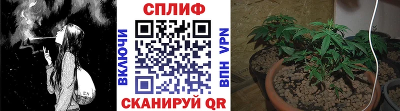 Бошки марихуана ГИДРОПОН  ссылка на мегу как зайти  Архангельск 